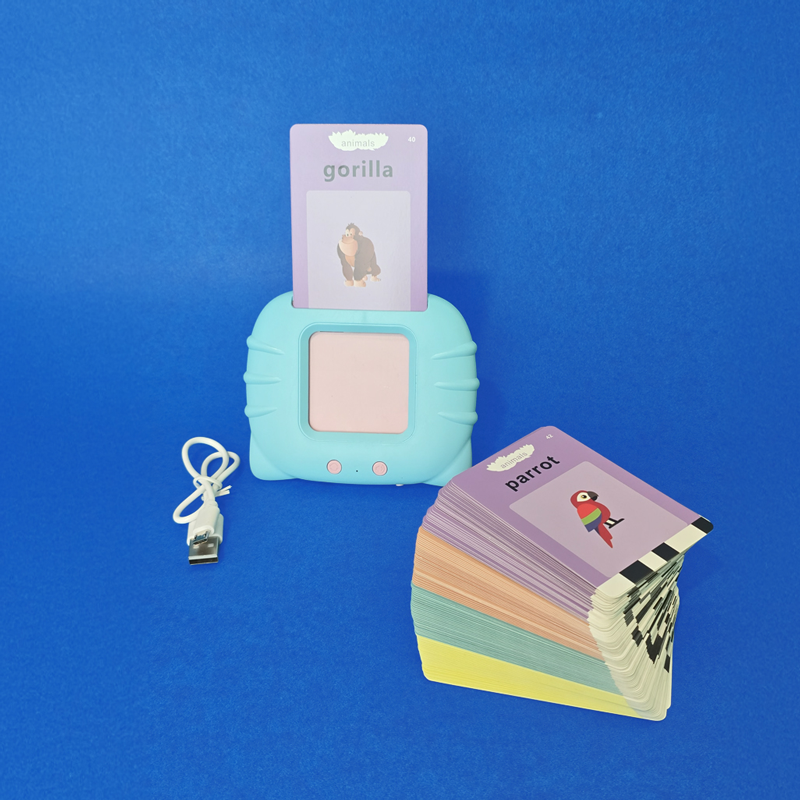 Talking Flash Card Reader - Techmaghi Junior