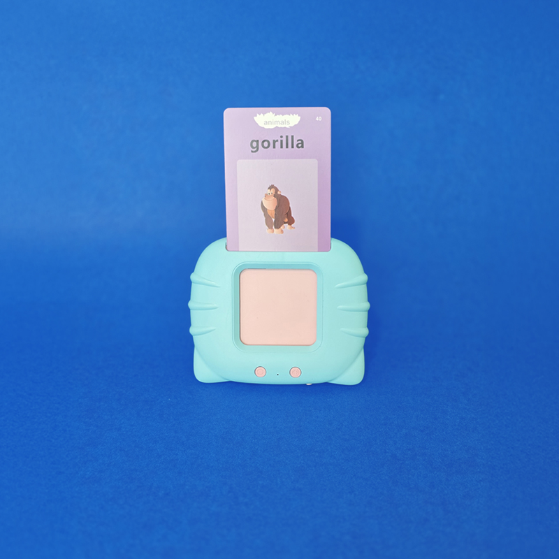Talking Flash Card Reader - Techmaghi Junior