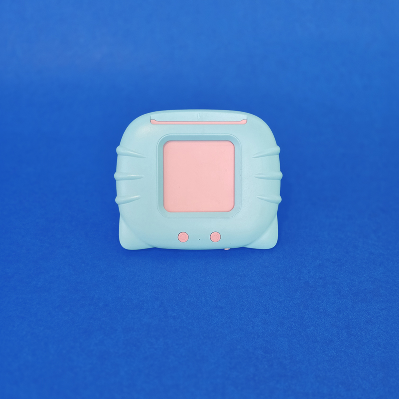 Talking Flash Card Reader - Techmaghi Junior